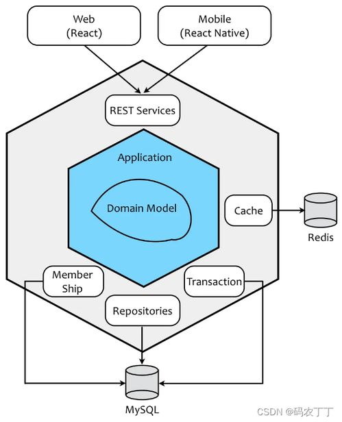 領域驅動設計 應對基礎軟件開發復雜度的核心思想與實踐